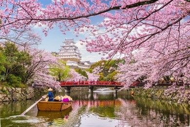 himeji, japan at himeji castle in spring season.