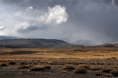 dramatic fall dark desert steppe on a highland mountain plateau with ranges of hills on a horizon storm skyline kurai altai mountains siberia russia