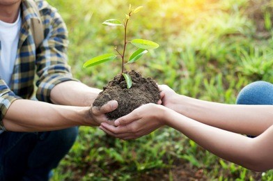 couple planting and watering a tree together on a summer day in park, volunteering, charity people and ecology environment and ecology concept
