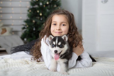 happy little girl with a dog  at home in christmas.
