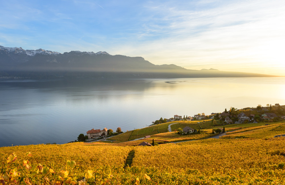 lavaux vineyard terraces, switzerland during sunset in autumn