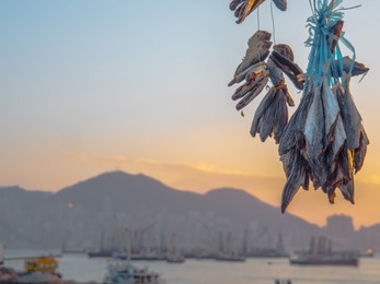 dried fish backgrounds hongkong city