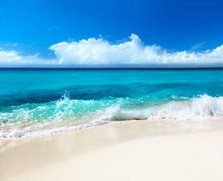 sand of beach caribbean sea