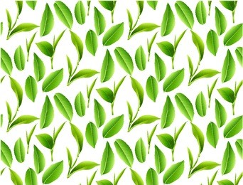 green tea leaves vector nature background. green tea seamless background with leaf natural illustration.