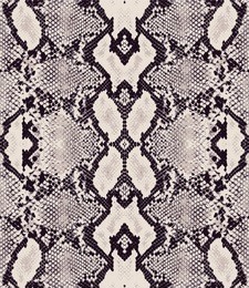 colorful snake skin texture