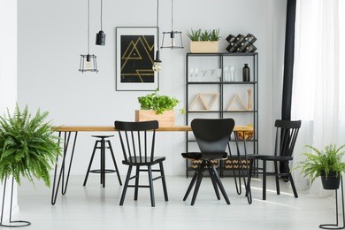 black chairs at dining table in bright dining room with ferns and dark poster on white wall
