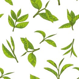 seamless pattern with green tea, hand-drawn leaves and branches of tea