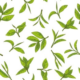 seamless pattern with green tea, hand-drawn leaves and branches of tea