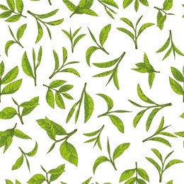 seamless pattern with green tea, hand-drawn leaves and branches of tea