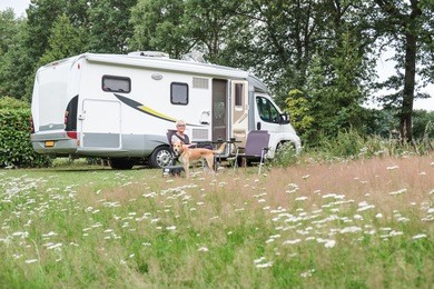 senior man sit and brown dog stand in front of camper van in meadow with white flowers and trees in background