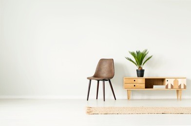 plant in black pot on wooden cupboard next to brown chair against empty wall in simple living room interior with rug