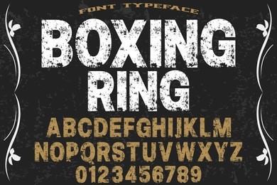 vintage font handcrafted vector named boxing ring
