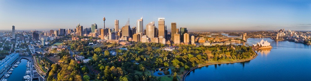 sydney city high-rise towers of cbd and major landmarks behind domain parklands and royal national gardens on a clear summer morning against blue sky.