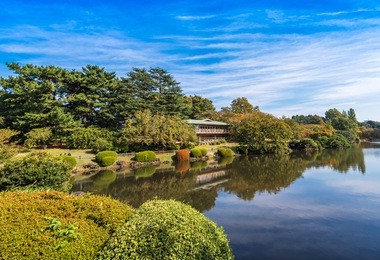autumn in the shinjuku park, tokyo, japan. copy space for text