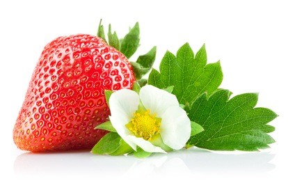strawberry berry with green leaf and flower isolated on white background