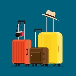 travel suitcases and hat camera isolated, vector illustration