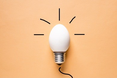 light bulb egg shell on base concept  energy saving ecology natural energy sources conservation of natural resources