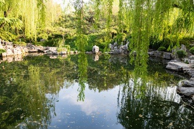 the park of baotu quan, also called "the best spring in the world" in the heart of jinan city, shandong, china