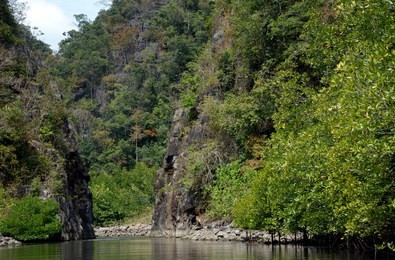 kilim river, langkawi, malaysia