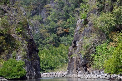 kilim river, langkawi, malaysia