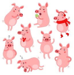 set of funny and cute pigs. vector