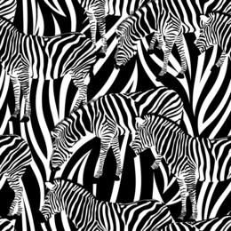 zebra on abstract background, seamless pattern. black and white, wild animal texture. design trendy fabric,  vector illustration.