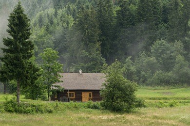 little cabin in the misty woods