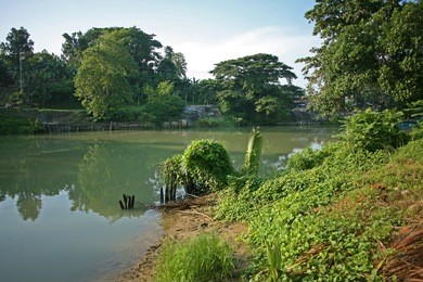the charming loboc river in the philippines in the early morning dusty sunlight