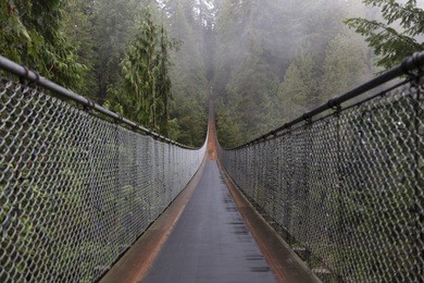 capilano suspension bridge. vancouver british columbia canada. nature. evergreen. 