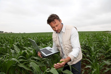 agronomist analyzing cereals with laptop computer