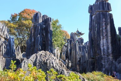 stone forest near kunming, yunnan china