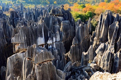 stone forest near kunming, yunnan china