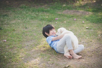 cute asian child playing with siberian husky puppy in the park