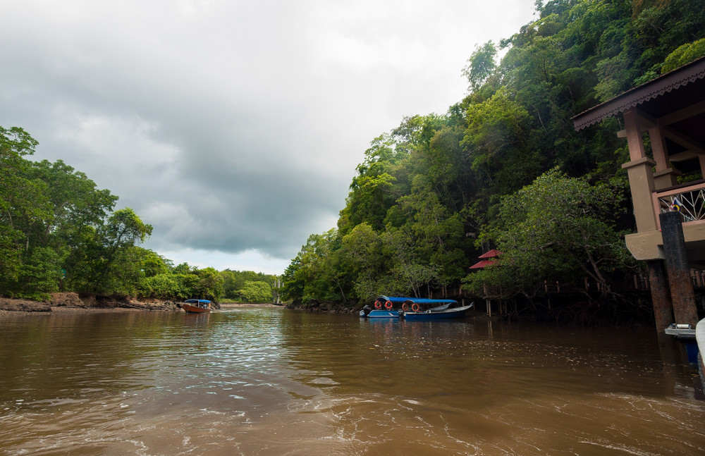 murky water and boats in kilim karst geoforest park at the start of our mangrove tour on langkawi