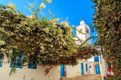 white-blue city of sidi bou said, tunisia. eastern fairy tale with a french charm.