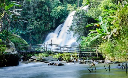 beautiful waterfall and bamboo bridge at the northern of thailand, pha dok xu fall ,mae klang luang village, doi inthanon national park, chiangmai , thailand