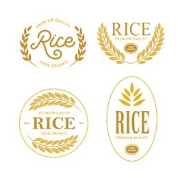 rice emblems labels badges set. golden logotypes collection for packaging advertising. vector vintage illustration.