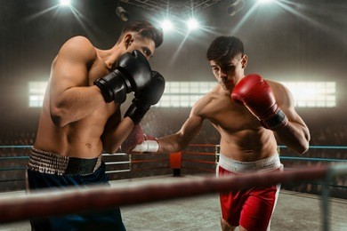 boxing sport boxers