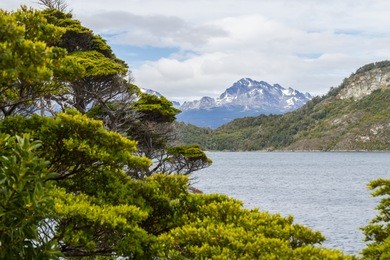 mountain, forest and beagle channel in coast trail, tierra del fuego national park, ushuaia, argentina