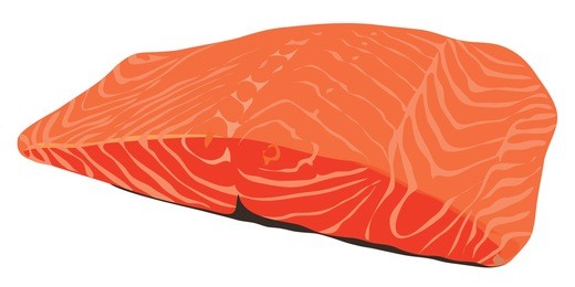 fresh salmon meat on a white background. vector illustration of pieces vector eps 8