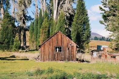 abandoned houses in the woods