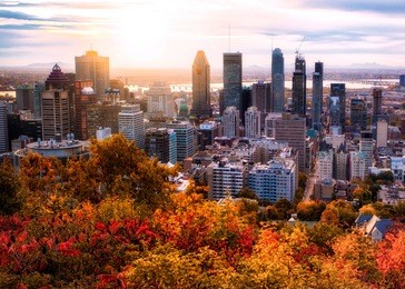 montreal sunrise with colourful leaves