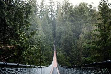 capilano suspension bridge. vancouver british columbia canada. nature. evergreen.