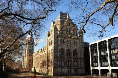 british natural history museum