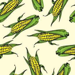 seamless vector pattern with hand drawn corn