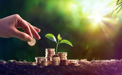 growing plant on coins money - investment concept