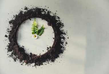 clock made of soil and plants