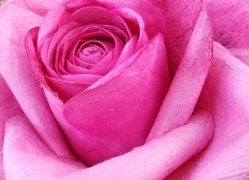 close up artificial red paper rose as background