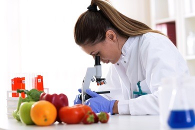 cheking food quality at professional lab with microscope, advanced food technology