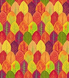 plant seamless pattern of autumn leaves